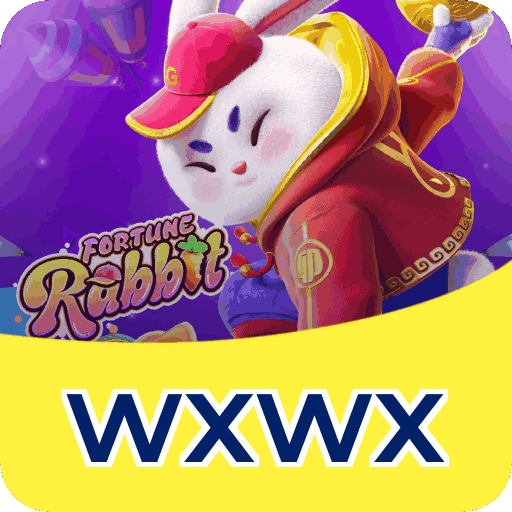 wxwx cadastro — dados da conta e política LGPD